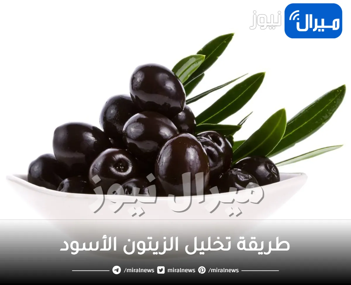 أفضل طريقة ناجحة لعمل مخلل الزيتون الأسود في المنزل مثل الجاهز وأفضل.. جربيها الآن
