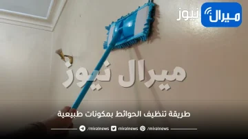 طريقة تنظيف الحوائط بمكونات طبيعية دون تغير لونها .. لم تسمعي بها من قبل