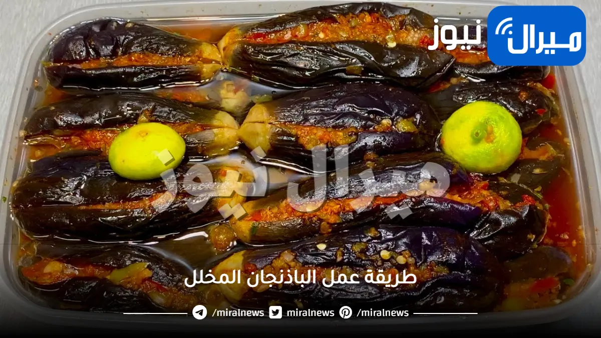 ألذ طريقة لعمل مخلل الباذنجان ملك المخللات بمكونات من المنزل وسريعة