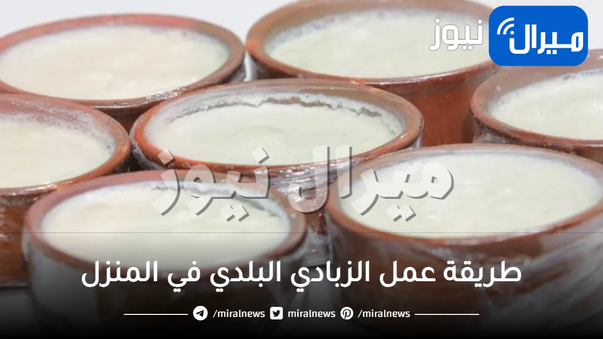 أنجح من الجاهز.. سر الزبادي البلدي المتماسك بدون ماكينة وبقوام كريمي لن يفشل معكِ أبداً