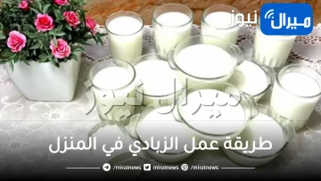 أسهل طريقة لعمل الزبادي في المنزل لسحور صحي في رمضان