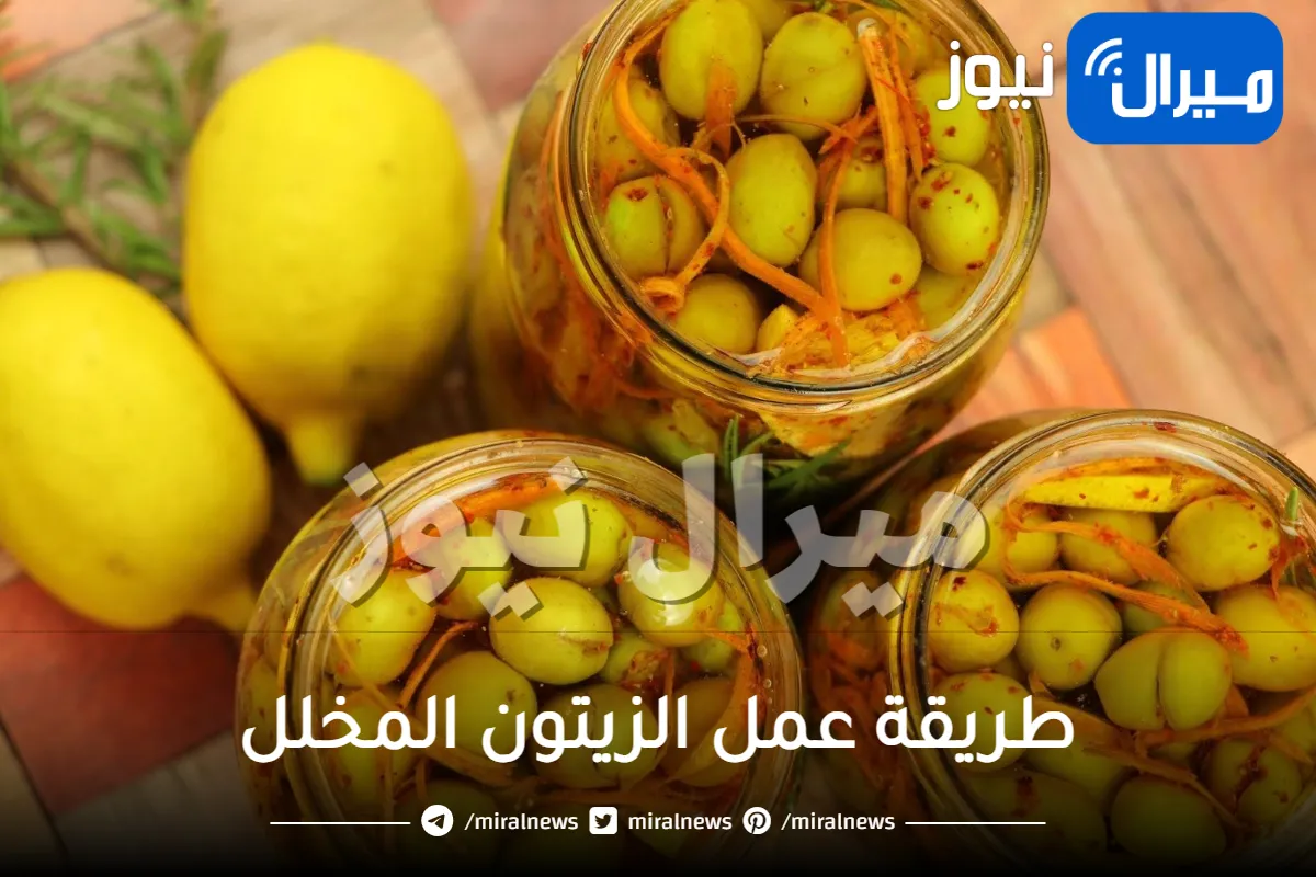 أفضل طريقة لعمل مخلل الزيتون في المنزل وبطعم مظبوط لا يقاوم