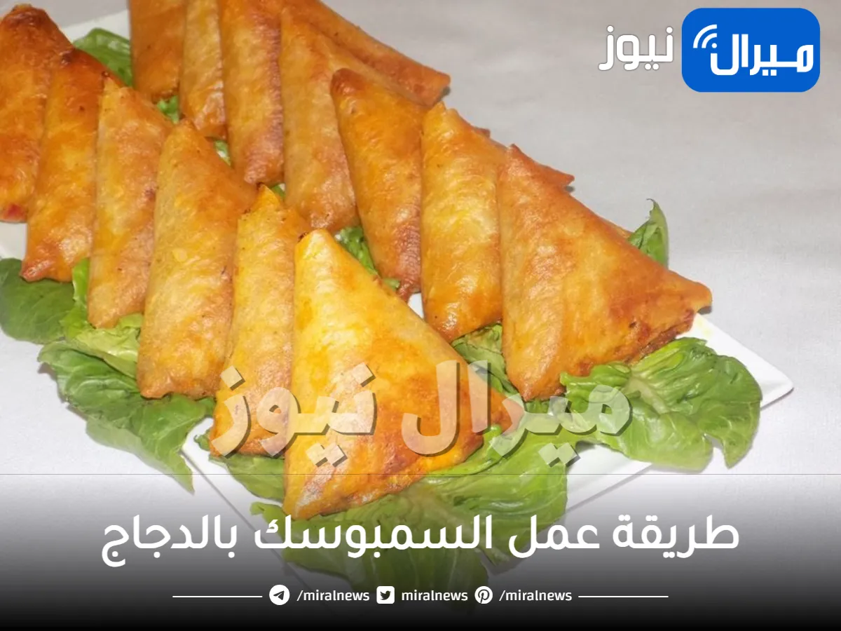 طريقة عمل السمبوسك بالدجاج
