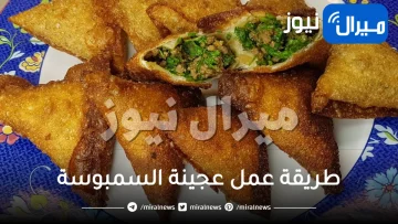 طريقة تحضير اشهى نوع سمبوسة بحشوة اللحم المفروم في المنزل .. كمية كبيرة بأقل التكاليف