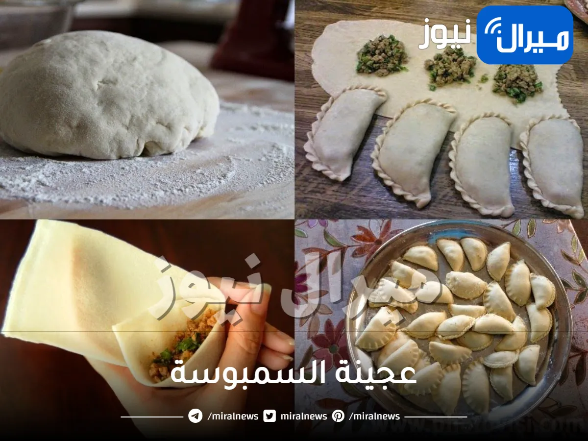 بمكونين فقط تحضير عجينة السمبوسة وتخزينها لشهر رمضان مع حشوات مختلفة