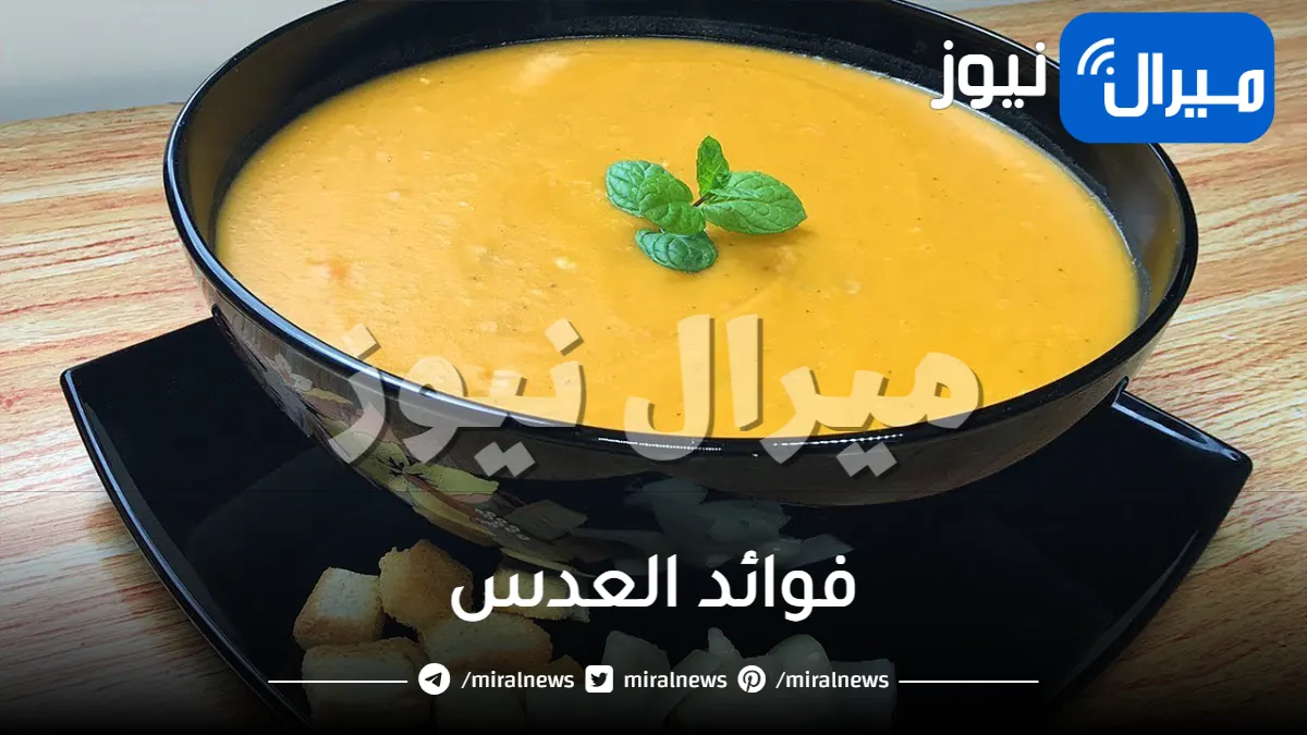 فوائد عديدة للعدس مفيدة للجسم جدا