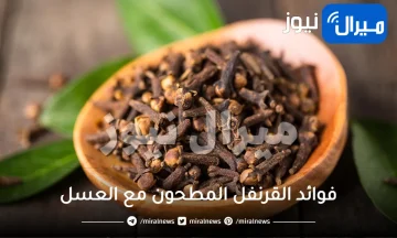5 حبات من القرنفل مع العسل كل ليلة.. يخلصك من الكثير من المشاكل الصحية في جسمك (التفاصيل)