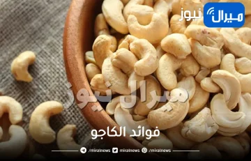 حبة واحدة من الكاجو تقدم فوائد غير متوقعة .. طبيبة تكشف السّر!