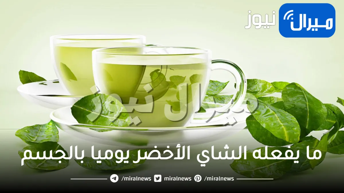 لن تصدق ما يفعله الشاي الأخضر يوميا بالجسم.. تغيير جذري