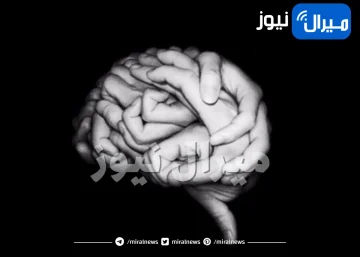 اختبار شخصية يكشف هل أنت شديد الانتباه أم لديك ذكاء عاطفي عبر ما تراه أولا في هذه الصورة .. اكتشف المزيد!!