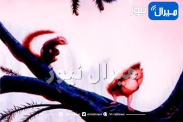 خداع بصري يكشف الشيء الذي ينقصك لتصبح شخصية ذا ذكاء خارق وجذاب غير الآخرين عبر ما ترينه اولا في الصورة