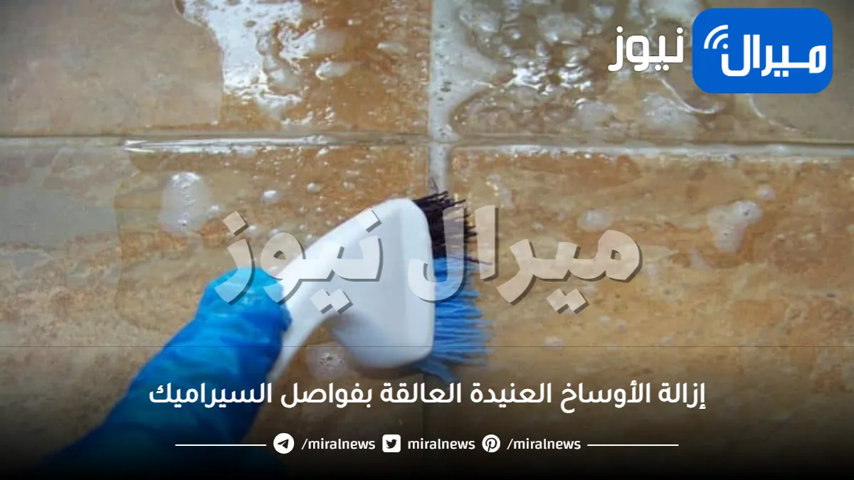 حيل سحرية لإزالة الأوساخ العنيدة العالقة بفواصل السيراميك بدون جهد أو تعب.. في دقائق