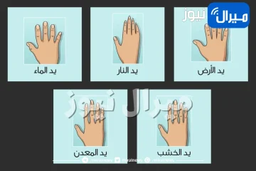 اختبار مدهش يكشف هل أنت شخصية قائدة بالفطرة أم مرهفة الإحساس عبر شكل يدك اكتشفي المزيد