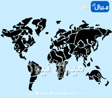 اختبار شخصية مذهل يكشف عن ما يثير غضبك عبر الحيوان الذي تراه أولا في الصورة
