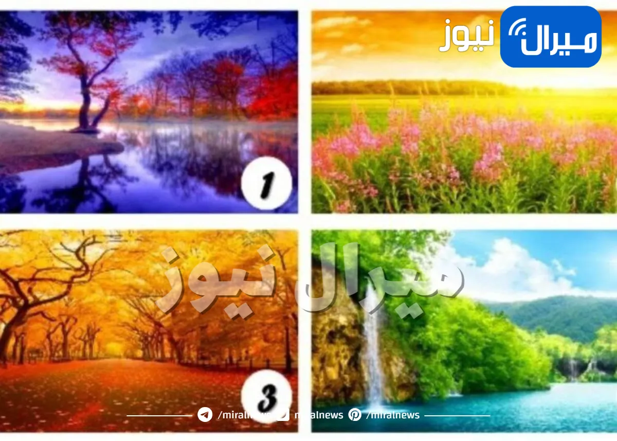 اختبار شخصية تكشف هل تحب الجلوس مع أصدقائك فترة طويلة ام تشعر بالانزعاج منهم عبر المناظر فصل السنة الذي تفضله