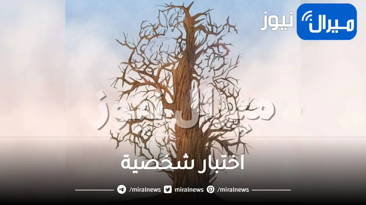 اختبار شخصية للعازبات يكشف حظك في الزواج وهل ستجدين شريك حياة جيد ام لا مميزاتك في جذب الحظ السعيد في الزواج عبر ما ترينه اولا