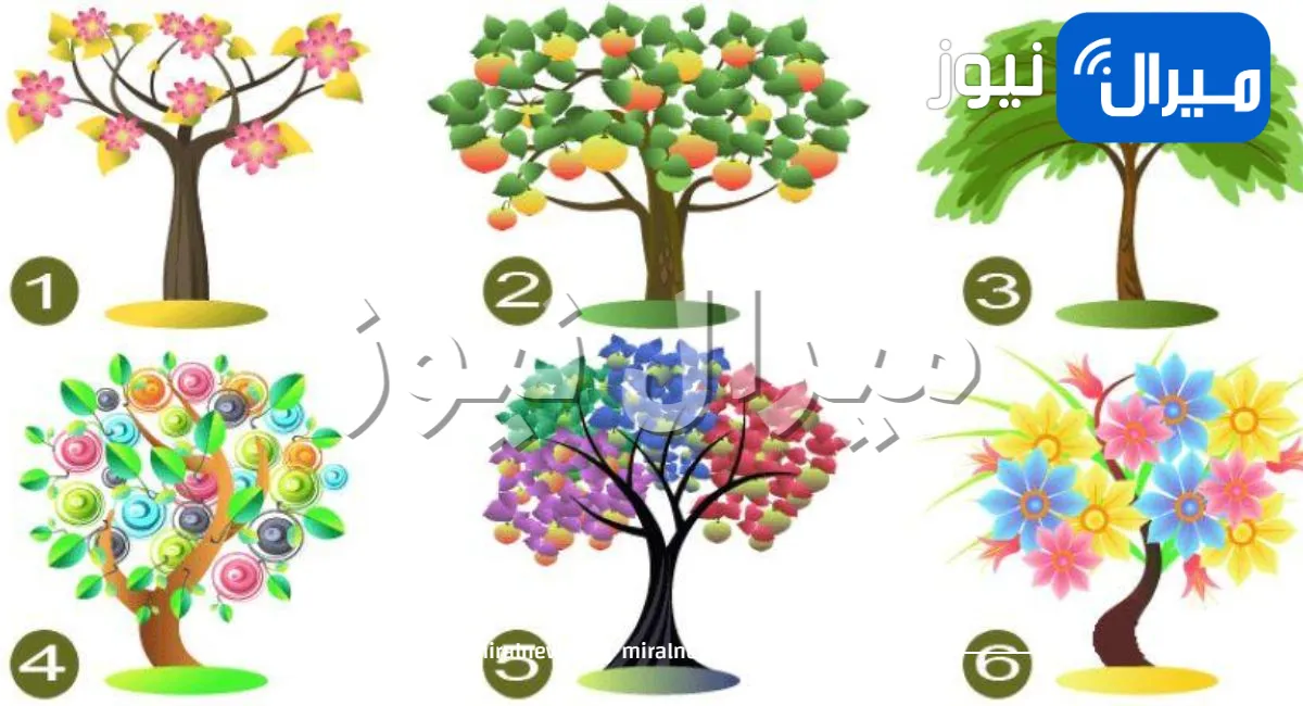 اختبار شخصية يكشف سمات شخصيتك المهيمنة عبر تحديد الشجرة التي تفضلها .. اكتشف المزيد!