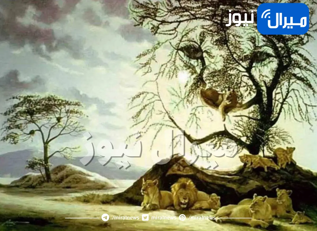 اختبار شخصية يكشف يكشف درجة قوتك وتحملك للعمل عبر عدد الاسود التي تشاهدها في هذه الصورة .. اكتشف المزيد!