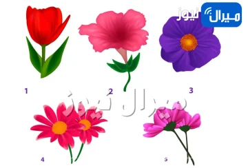 اختبار شخصية يكشف هل هناك أحد يحبك ويفكر فيك دائما أم لا عبر شكل الزهرة التي تختارينها في الصورة