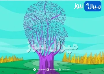 اختبار شخصية يكشف يكشف نقاط ضعفك التي يستغلها اصدقائك فيك عبر ما تراه أولا في الصورة .. اكتشف المزيد!