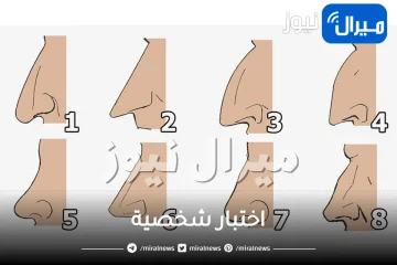 ماذا يكشف شكل أنفِك من خفايا شخصيتك؟.. مفاجأة لأصحاب الأنوف الفطساء