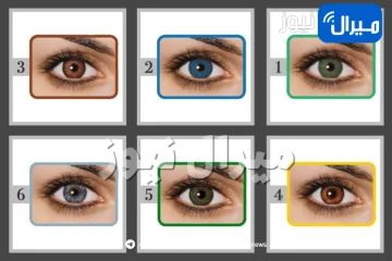 اختبار شخصية يكشف هل أنت فتاة مثالية ويحلم جميع الرجال الزواج منك أك لا عبر شكل لون عدسات العين التي تفضلينها