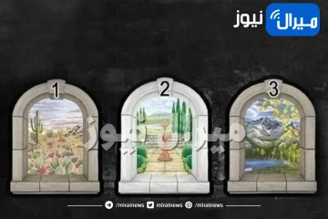 اختبار شخصية يكشف هل أنت فتاة تهتمين بنفسك أكثر أم ترغبين بتأسيس عائلة متماسكة عبر شكل النافذة التي تفضلينها في الصورة