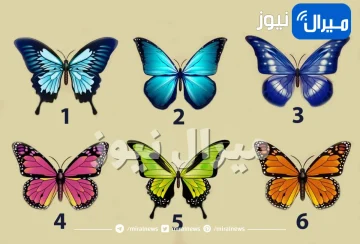 اختبار شخصية يكشف هل يرونك الآخرون جذابة ونابعة بالحياة أم تعيسة ومملة عبر شكل الفراشة التي تختارينها أولا في الصورة .. اكتشف المزيد!!