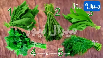 اختبار شخصية يكشف خفايا واسرار عن حياتك عبر شكل الخضار في الصورة الذي تفضل تناوله .. مفاجأة لمن يحب البصل والثوم !