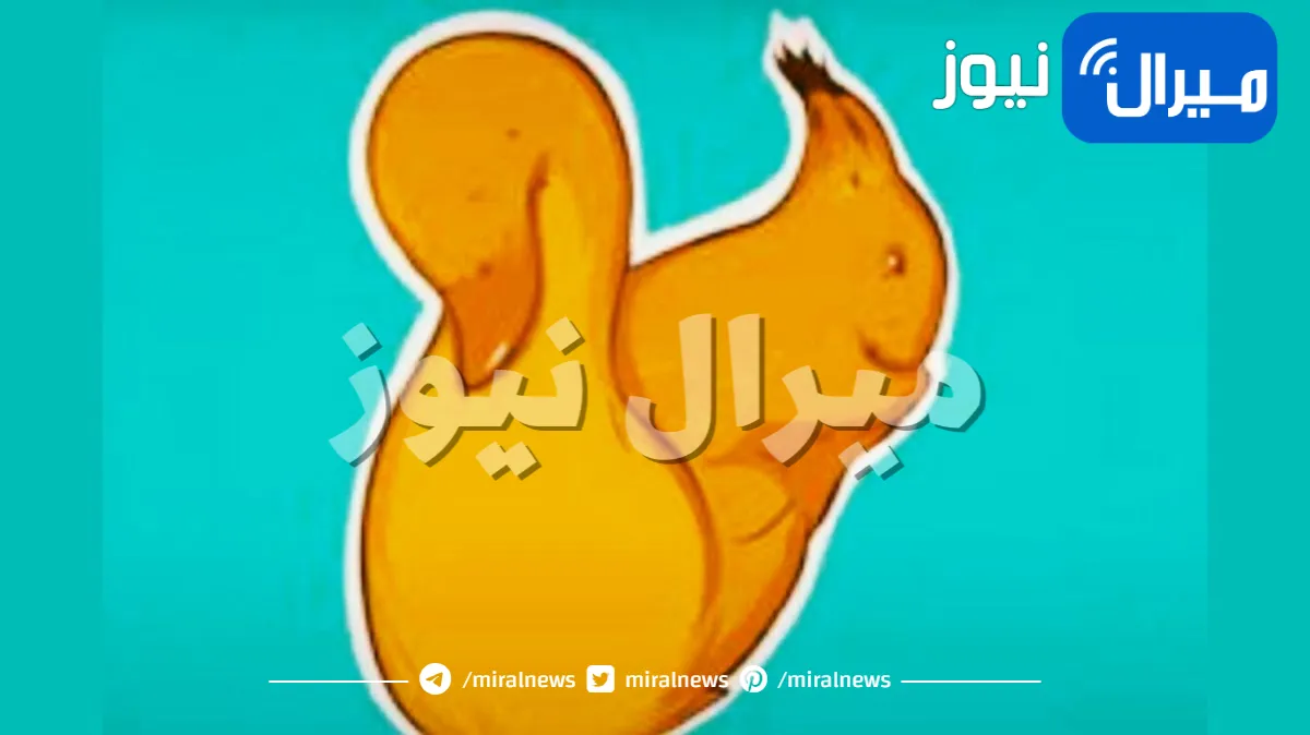 اختبار شخصية يكشف أي جزء من الدماغ تستخدمه اكثر عبر ما ترينه اولا في الصورة .. هل الأيمن أم الأيسر؟