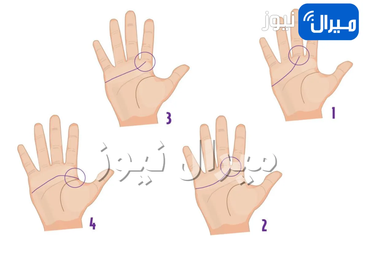 اختبار شخصية يكشف هل أنت مستقلة ويثق بك الآخرين أم لا عبر شكل يدك .. اكتشف المزيد!!