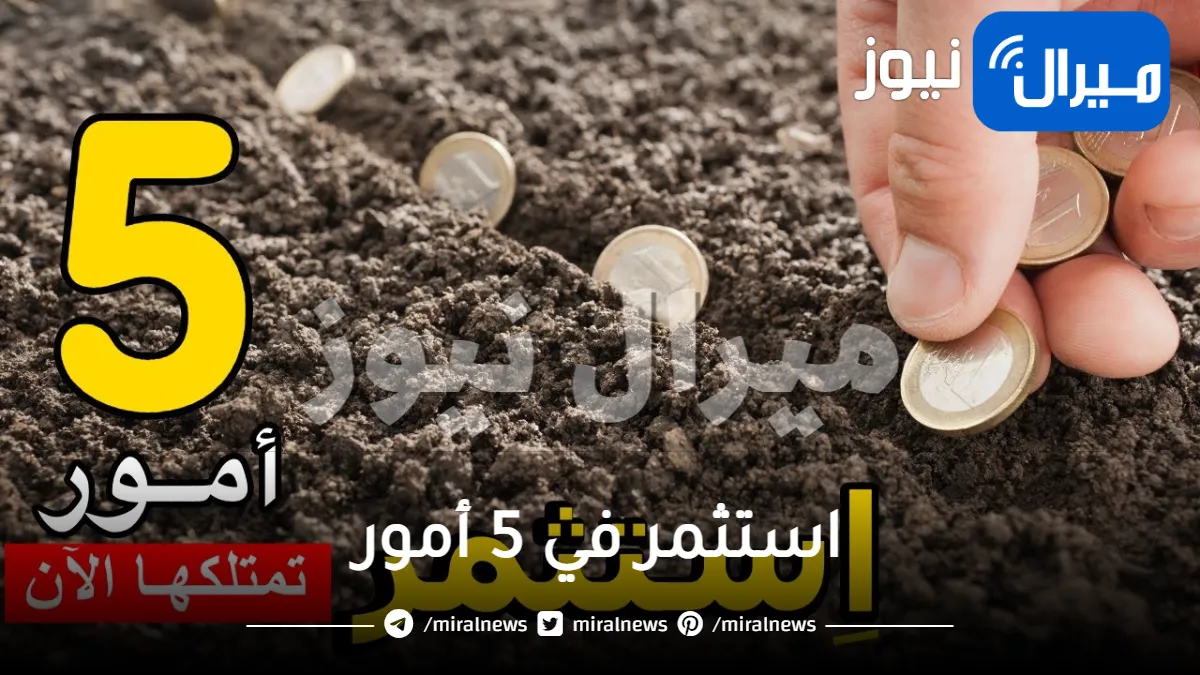 لا تنتظر رأس المال وحقق ربك الآن.. واستثمر في 5 أمور تمتلكها