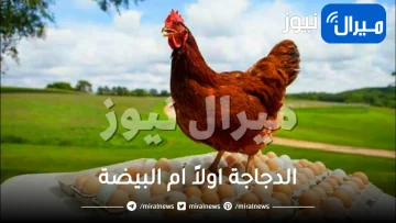 البيضة جاءت أولاً .. بل الدجاجة جاءت أولاً .. العلم يحسم الجدلية بالأدلة