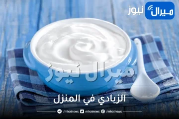 اعملي الزبادي في البيت بدون ماكينة وبقوام مضبوط.. كريم وناعم وألذ من الجاهز