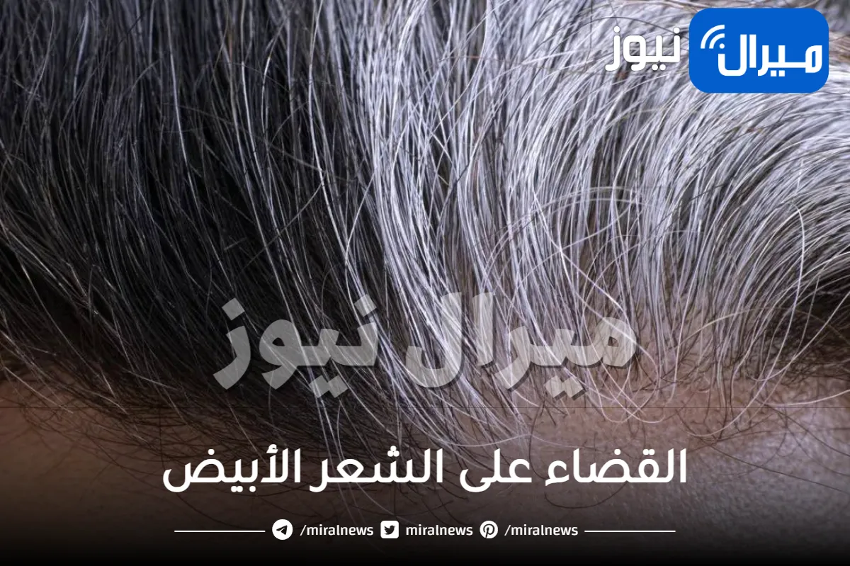 ضعي معلقة واحدة من هذا المكون علي الشامبو وقولي باي باي للشعر الابيض والشيب نهائيا.. من أول استعمال