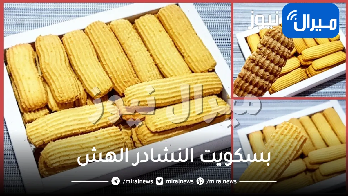الطريقة الصحيحة لعمل بسكويت النشادر الهش في المنزل.. أسرار نجاح البسكويت مثل الجاهز