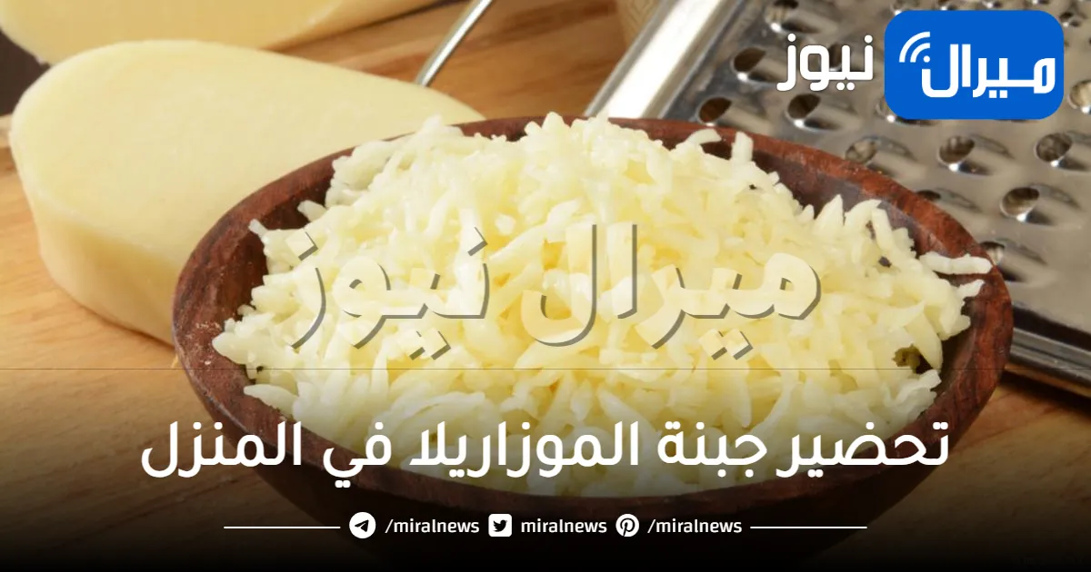 خطوات تحضير جبنة الموزاريلا في المنزل بكل سهولة.. بثلاث مكونات فقط وأحلى من الجاهز