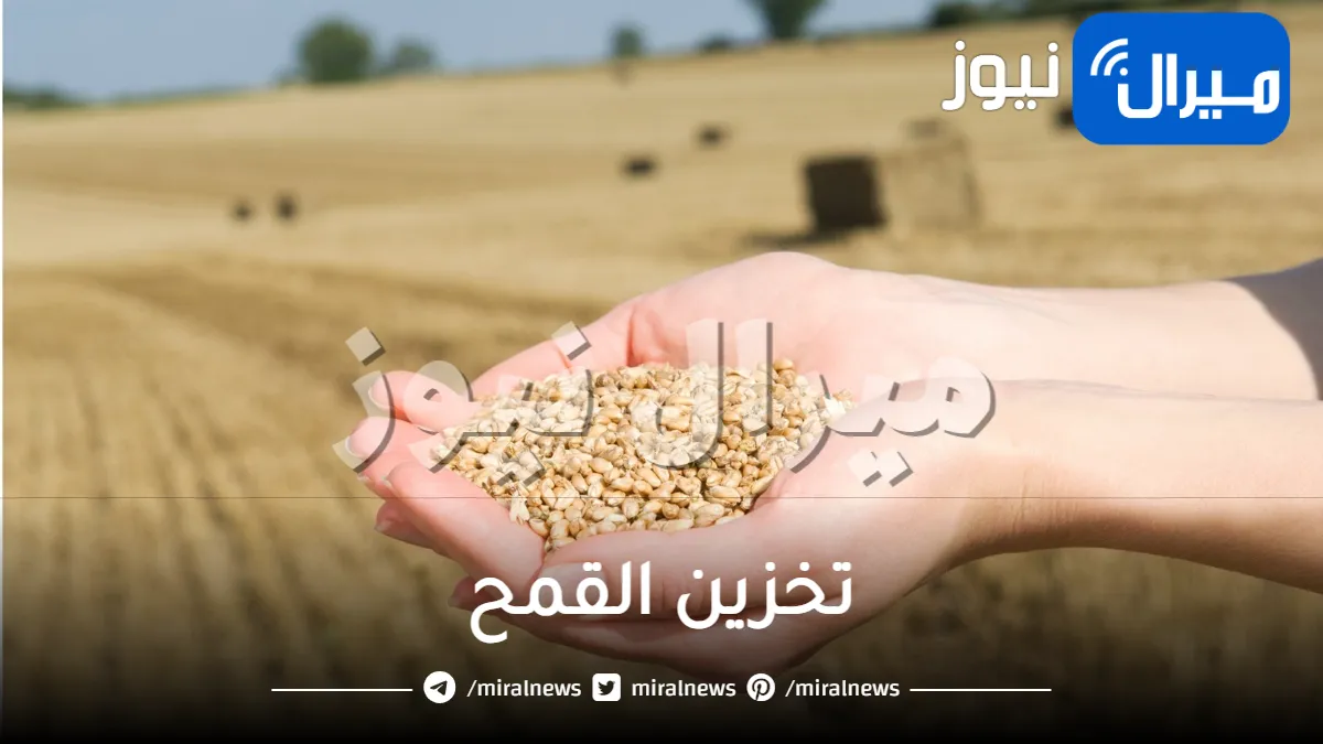 كي لا تُصاب بتلف مبكر.. طريقة جهنمية لتخزين القمح في المنزل فترة طويلة جدا