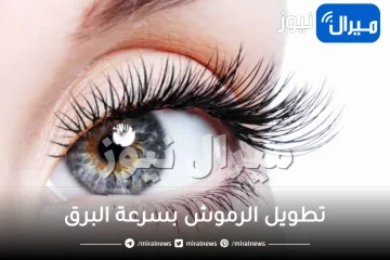 وصفة بياض البيض لتطويل الرموش بسرعة البرق ومن دون أي تكلفة.. ستبهرك النتيجة