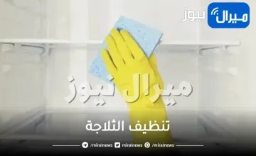 7 أسرار حول تنظيف الثلاجة لن يخبرك بها أحد.. ستوفر عليك الوقت والجهد