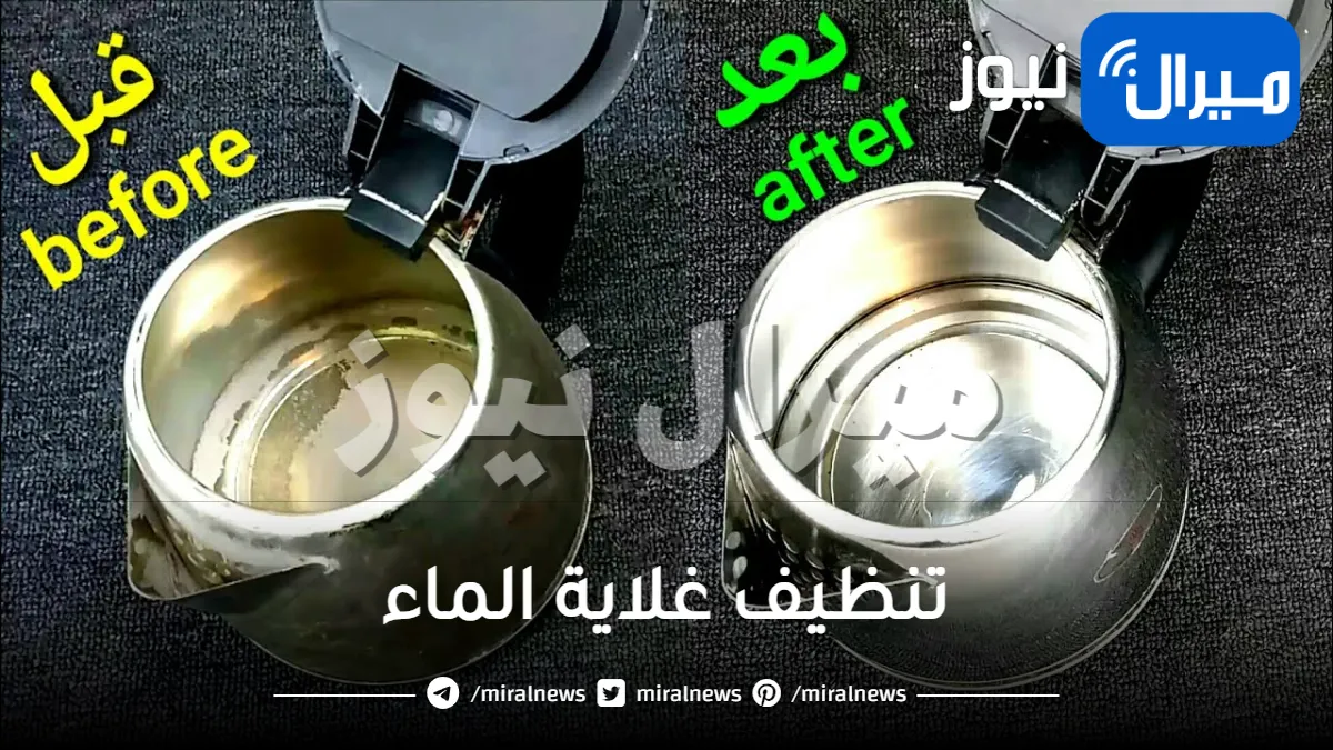 طريقة ذكية لتنظيف غلاية الماء بأسرار لم تسمعي بها ابدا .. رجعيها جديدة مرة أخرى في دقائق بدون مجهود