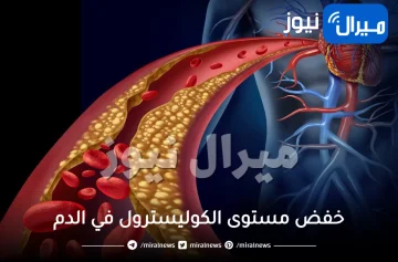 الكشف عن نوع من الحليب يخفض مستوى الكوليسترول في الدم بلمح البصر.. احرص عليه