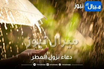 دعاء نزول المطر و دعاء سماع صوت الرعد من السنة