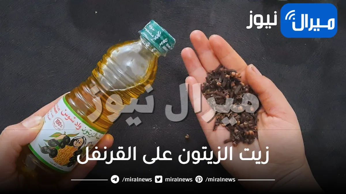 ضع زيت الزيتون على القرنفل قبل النوم ولن تصدق النتائج مدهشة ندمت إني معرفتها من زمان جربيها بنفسك!!