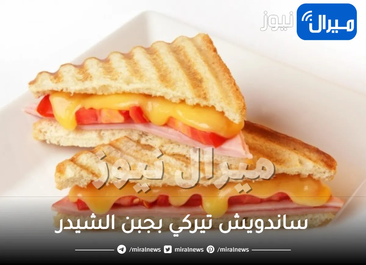 ابهري عائلتك واعملي ساندويش تيركي بجبن الشيدر الذائب بخطوات سهلة.. الطريقة