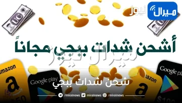 اشحن شدات ببجي موبايل من الموقع الرسمي وتمتع بلعب اللعبة|طريقة تحميل لعبة ببجي على الاندرويد والكمبيوتر