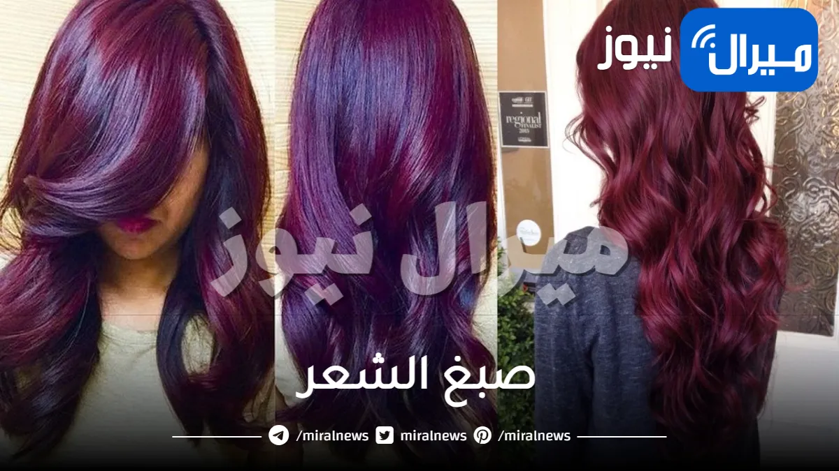 بالباذنجان فقط .. طريقة جديدة لـ صبغ الشعر باللون البني في المنزل بدون أكسجين وبأسرار الكوافير