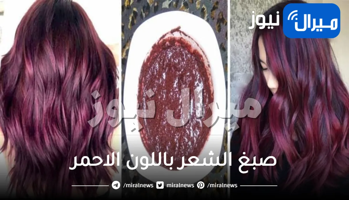 للحصول على لون شعر مميز وجذاب.. إليك طريقة صبغ الشعر باللون الاحمر الغامق واللون الاشقر بالحنه