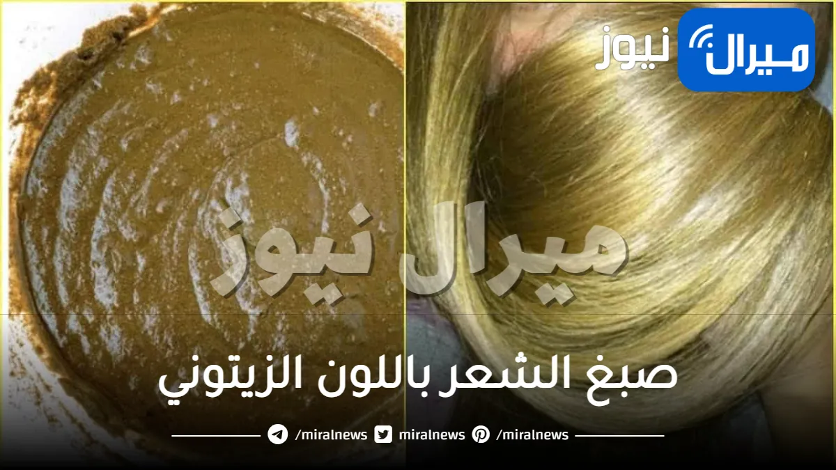 بمكونات منزلية.. طريقة ممزية لصبغ الشعر باللون الزيتوني بأحدث إطلاله أفضل من الأشقر وبأسرار العناية بالشعر