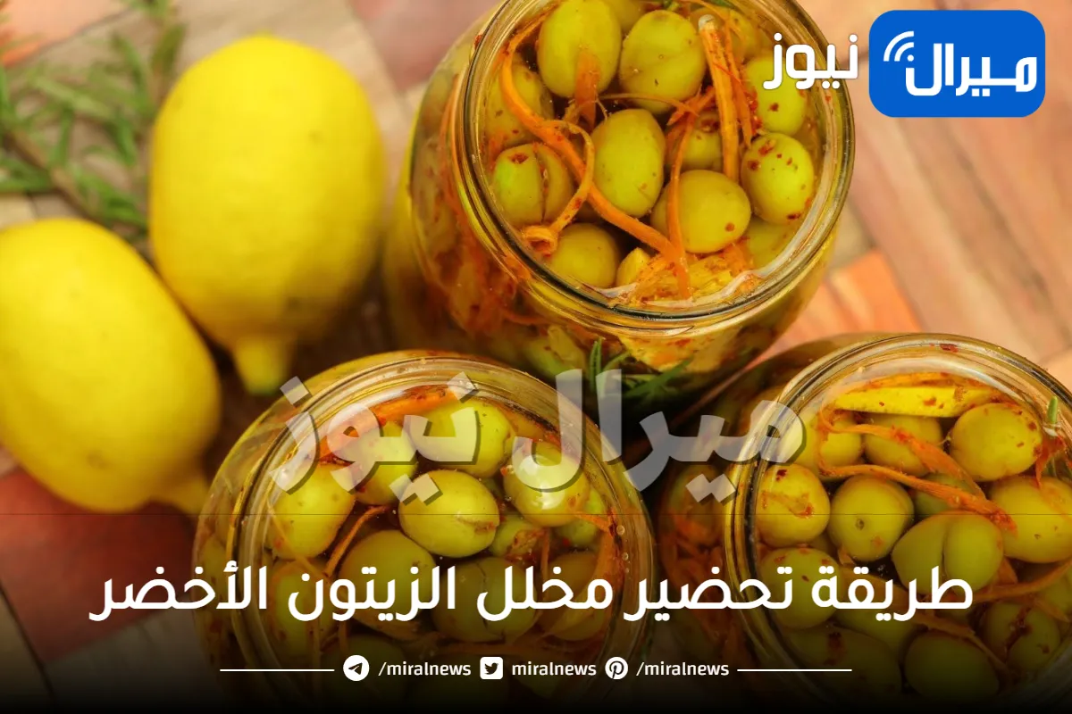 طريقة مثالية لتحضير مخلل الزيتون السريع.. الحقي خلليه قبل قدوم رمضان